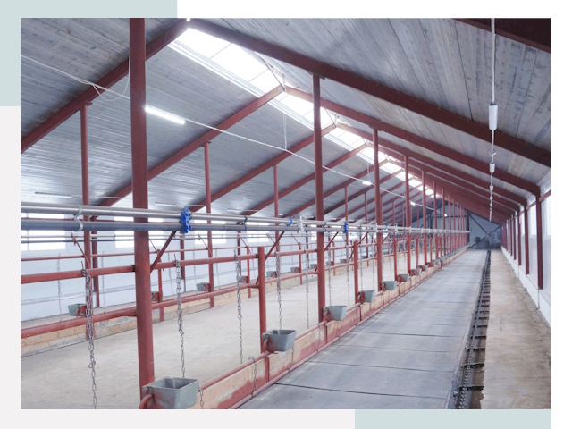 Строительство коровников в Липецке от 624 руб.