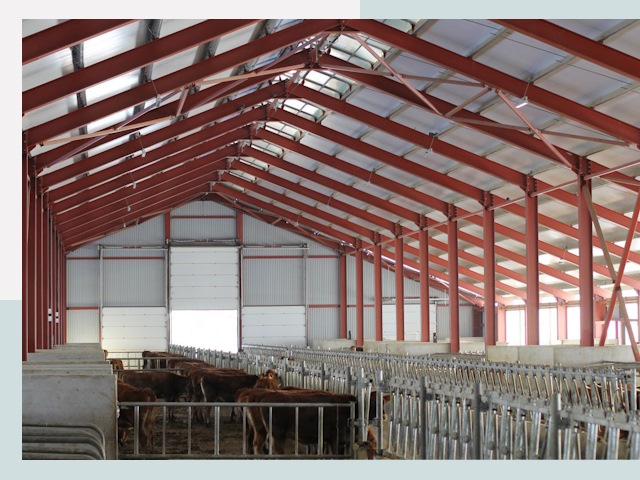 Строительство коровников в Липецке