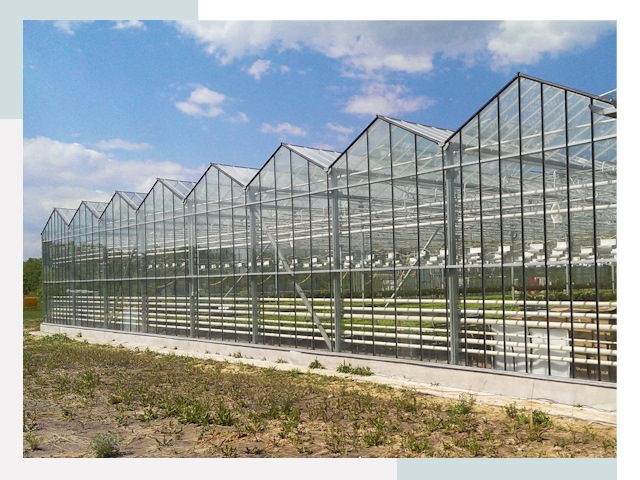 Строительство теплиц в Липецк от 624 руб. за м²