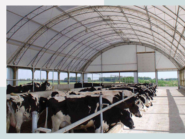 Тентовые коровники в Липецке